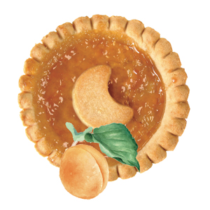 MINI CROSTATINA ALBICOCCA 48G